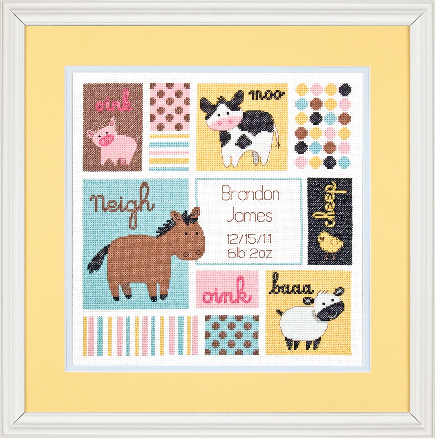 Birth Record Counted Cross Stitch Kit