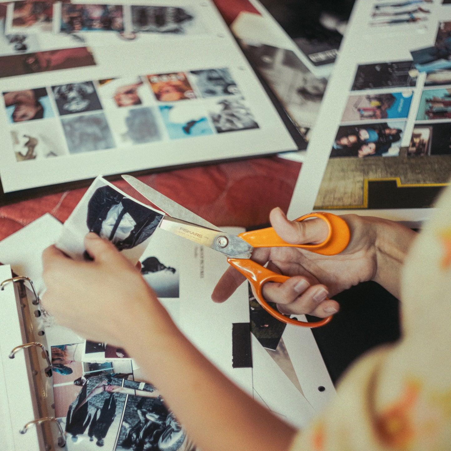 Fiskars Scissors and Sharpeners